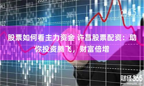 股票如何看主力资金 许昌股票配资：助你投资腾飞，财富倍增