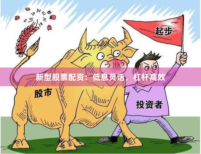 新型股票配资：低息灵活，杠杆高效